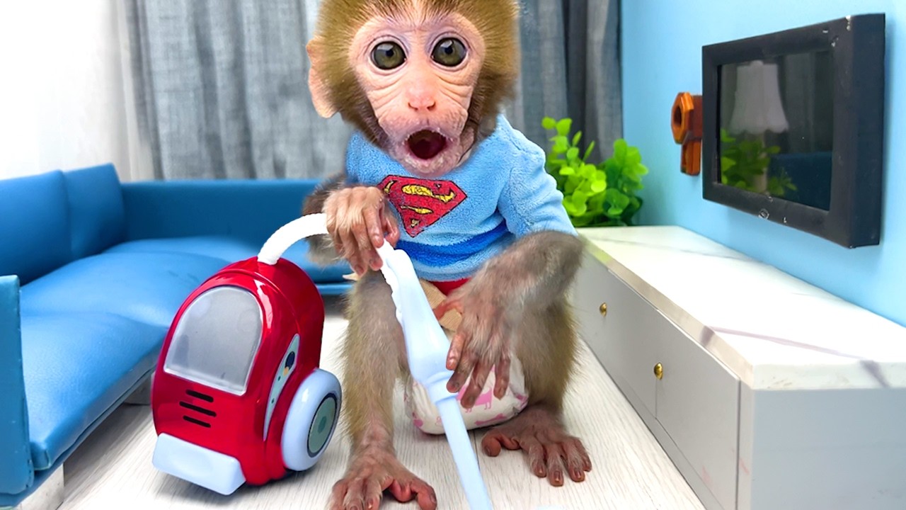 Singe BonBon et le petit chat vont dans la forêt pour réparer le camion de l’ours