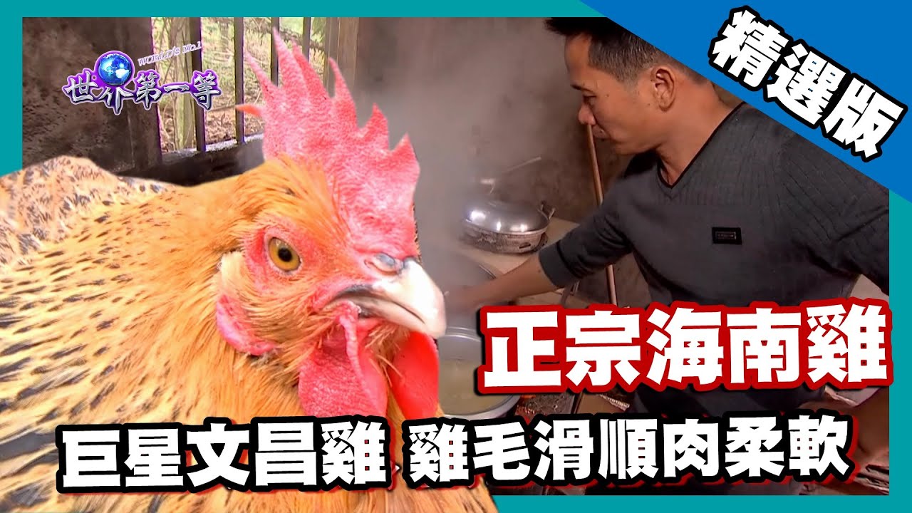 【海南島】正宗海南雞飯  育肥文昌雞 雞毛滑順肉柔軟｜《世界第一等》624集精華版