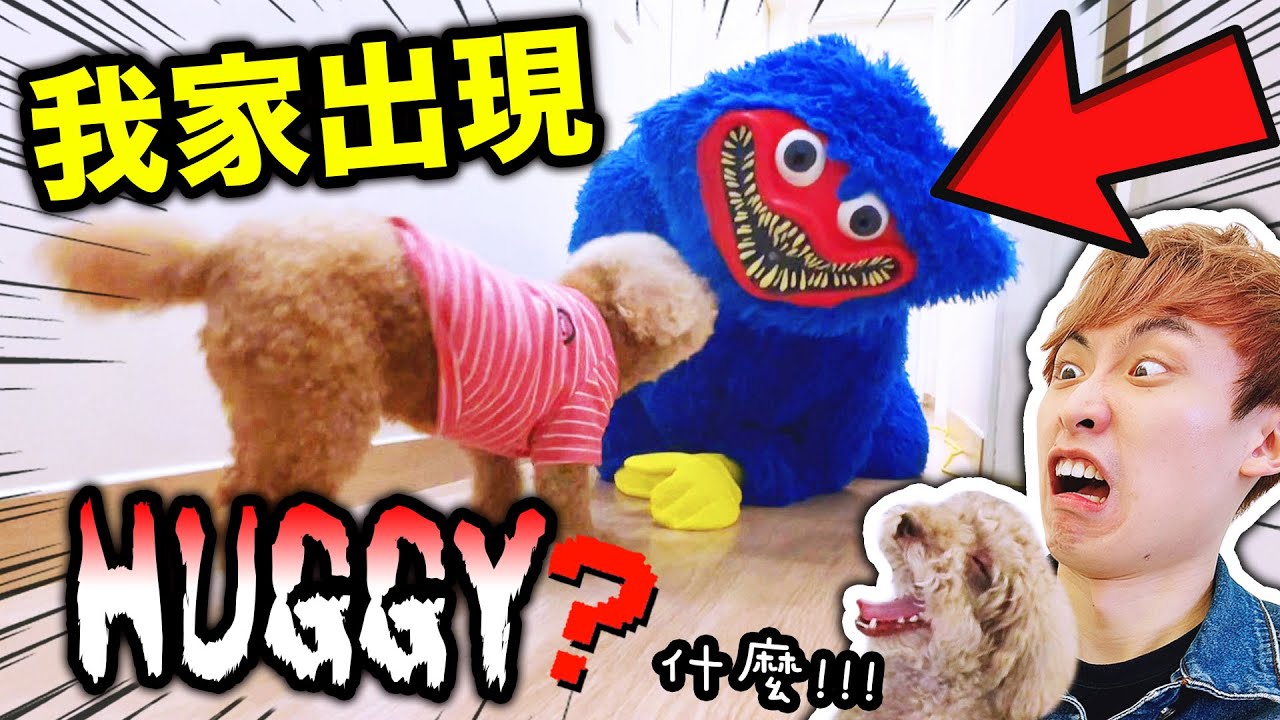 Poppy Playtime in real life！我家出現了「巨型Huggy」😱～狗狗的反應是？(中文CC字幕)