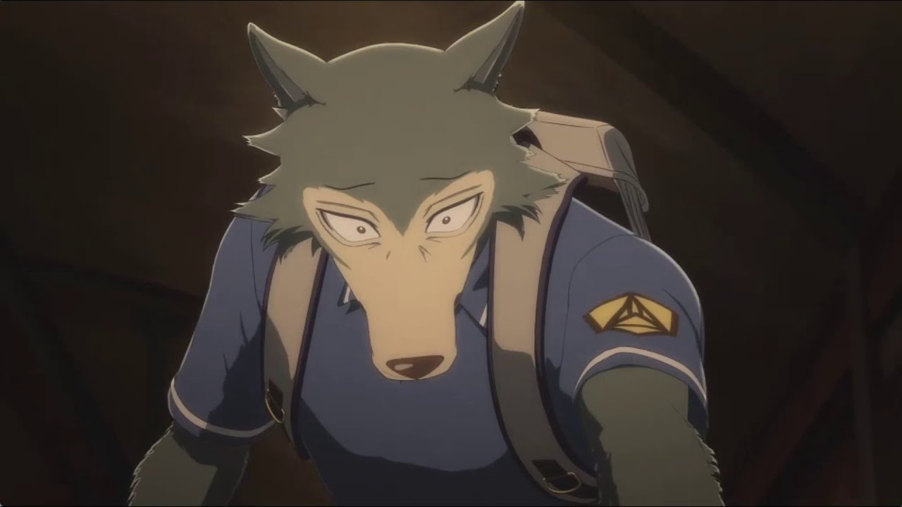[BEASTARS]- Legosi & Haru- Treat You Better AMV