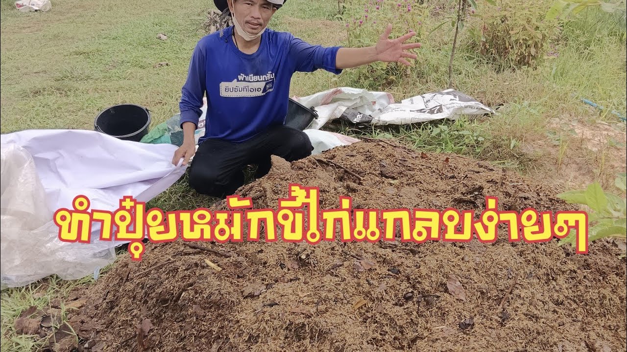ปุ๋ยหมักขี้ไก่แกลบEP36