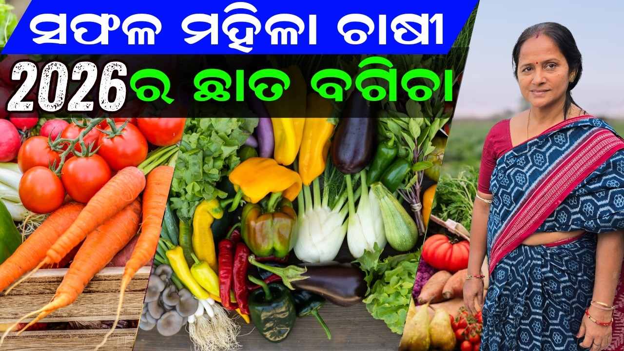 🌿ଆପଣଙ୍କ ଛାତକୁ ବନାନ୍ତୁ ଏକ ବଗିଚା ! 🍎🌿 Turn Your Terrace into a Mini Garden! 🍎🥦 @EfarmingOdisha