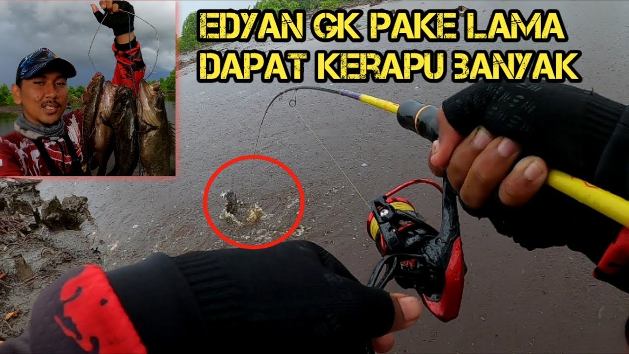 umpan ikan kerapu paling jitu - Ahdan Mancing