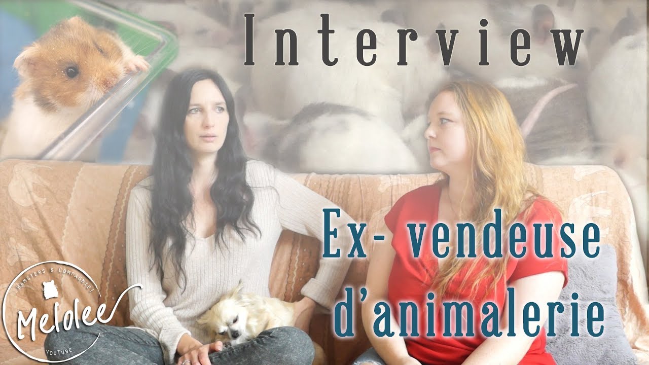 Interview ex-vendeuse en animalerie