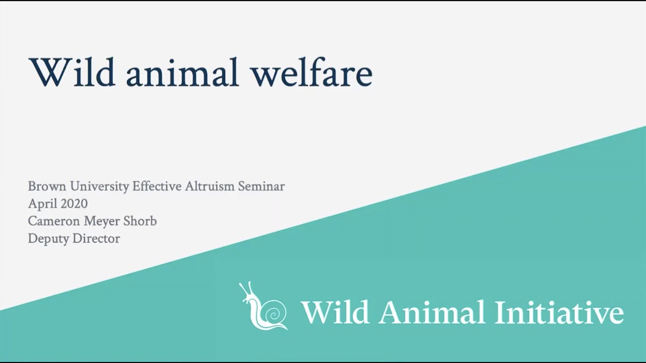 Wild Animal Welfare - Brown University Effective Altruism Seminar