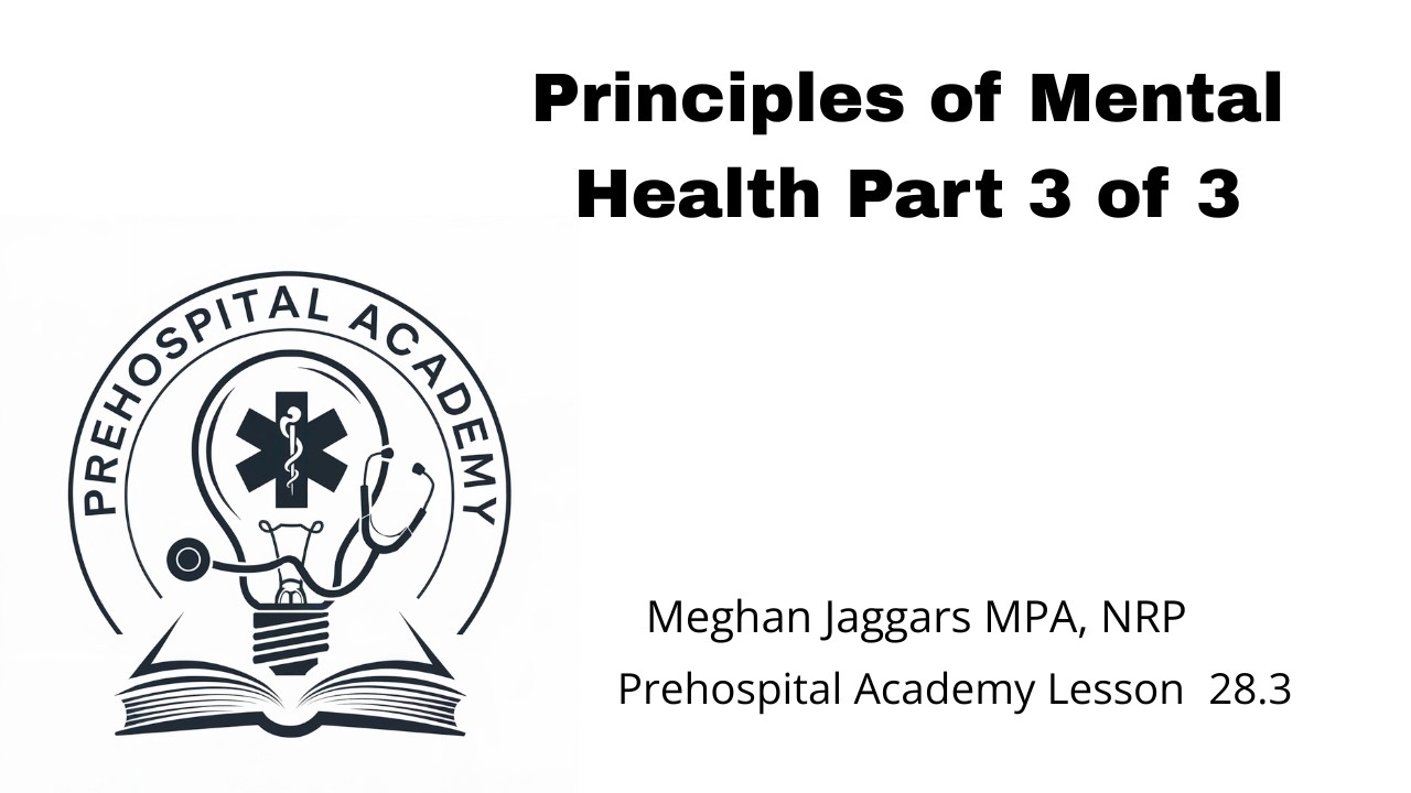 Mental Health Principles Part 3