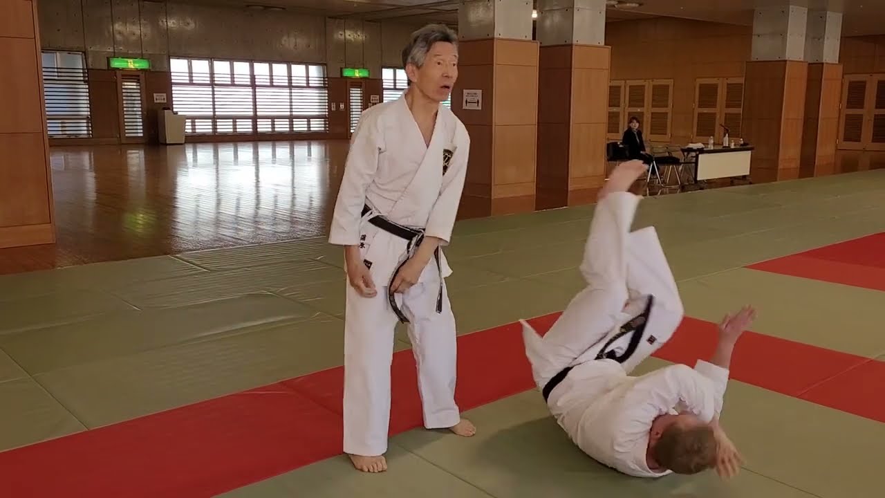 De l'efficience des bunkai du kata seipai
