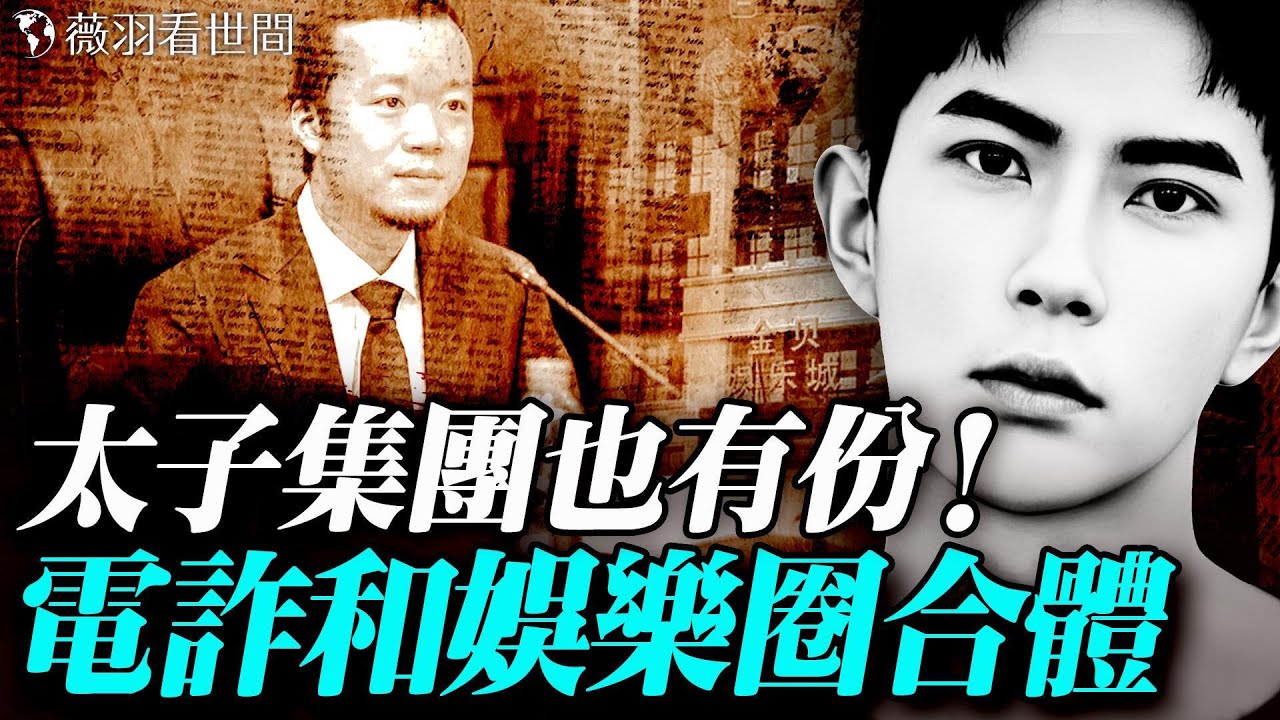 太子集團陳志是大金主！電詐和娛樂圈合體；李玟之死跟中共大佬的女兒有關；娛樂圈是所有黑錢的漂白劑。｜薇羽看世間 20251112