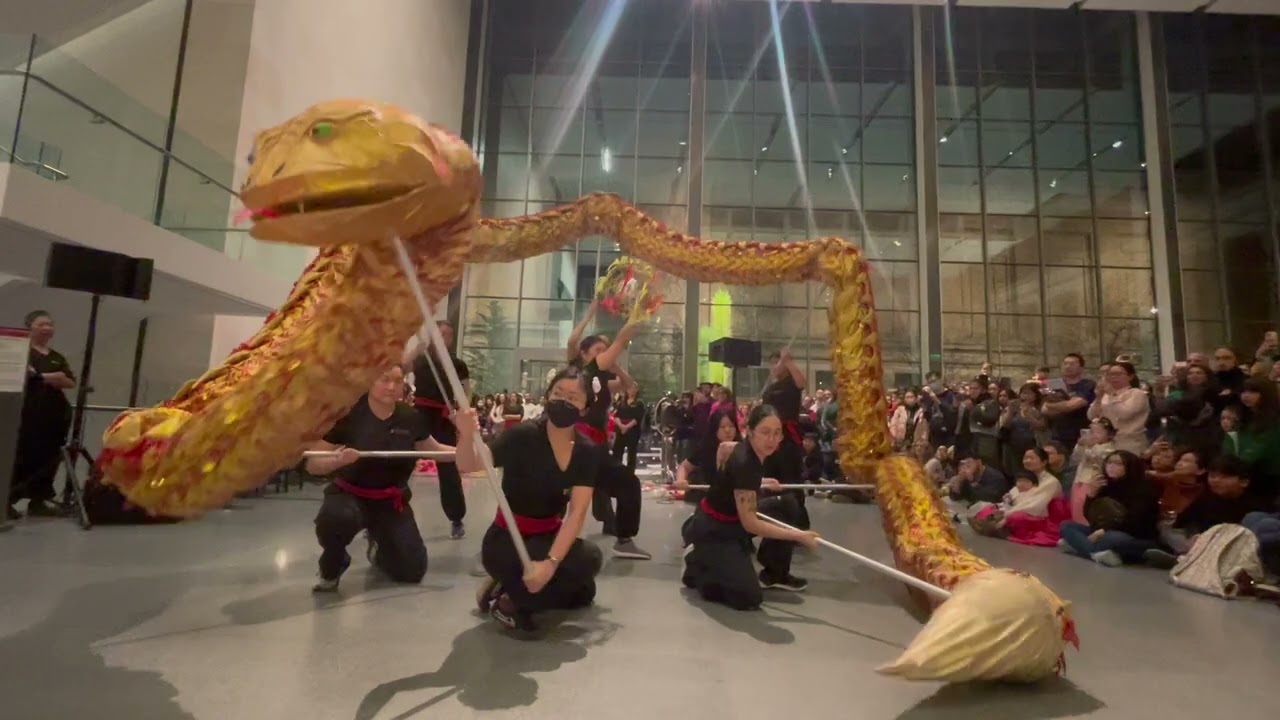 Gund Kwok - Chinese New Year Snake Dance - Museum of Fine Arts Boston 2025