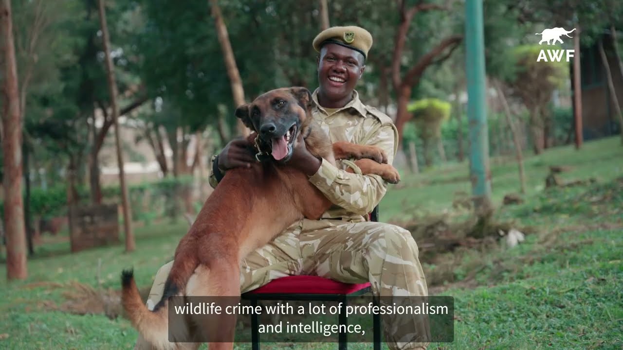 Building Africa&rsquo;s Frontline Against Wildlife Crime