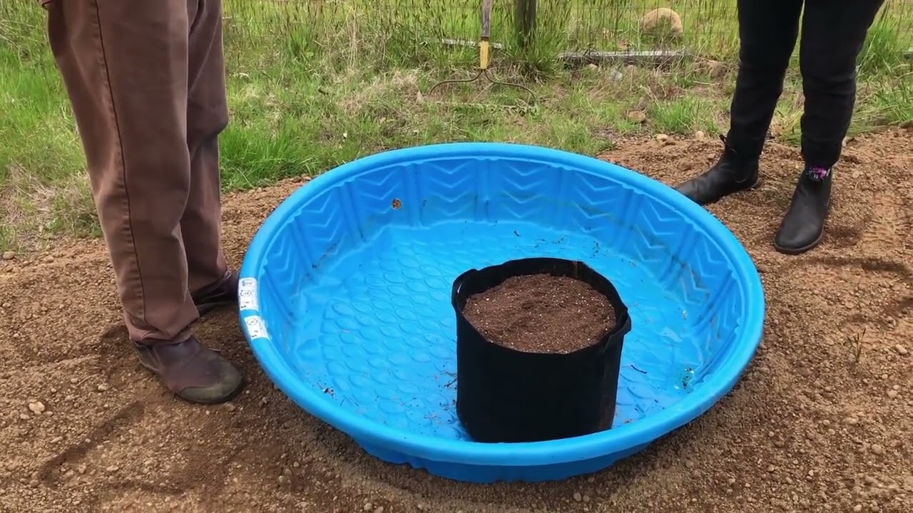 Kiddie Pool Grow Bag watering system