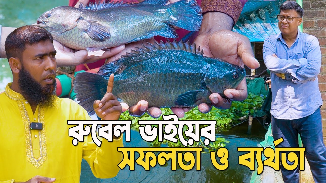 সহজ পদ্ধতিতে মাছ চাষের মাছ বাড়ির রুবেল ভাইয়ের সফলতা ও ব্যর্থতা ২০২৩