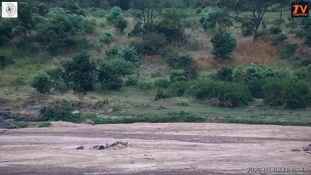 Watch the Crocodile River from South Post @ Kruger