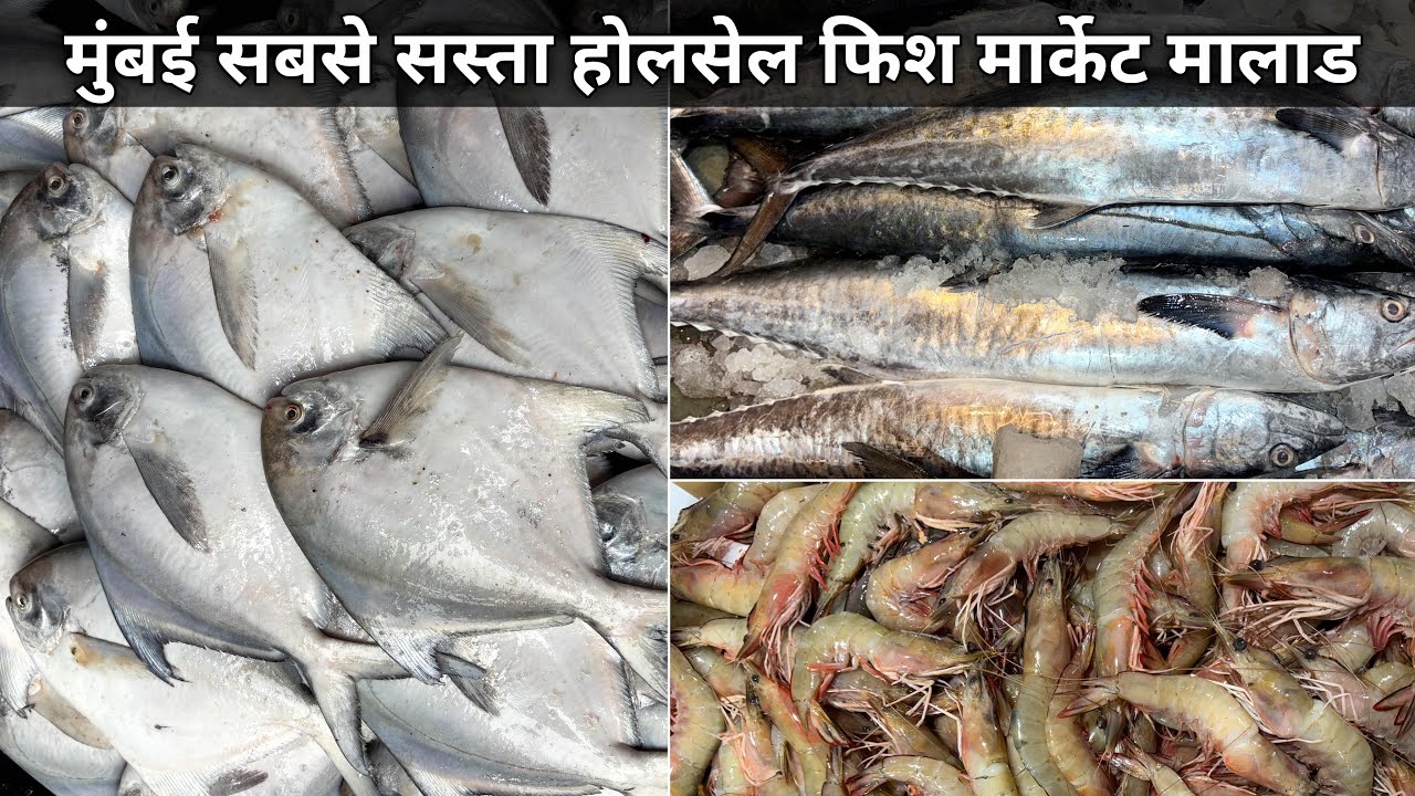 Malad Fish Market | Fish Market | Malad West Fish Market | Wholesale Fish Market In Mumbai