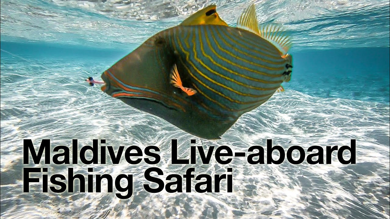 Maldives Fly Fishing Safari Trip - Full Video