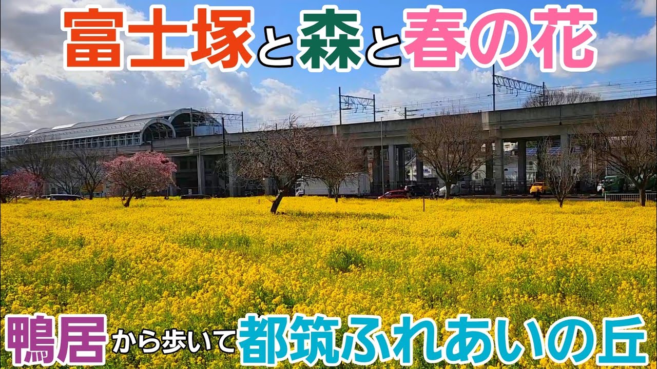 富士塚に登り森を歩き春の花に出会う街歩き【鴨居駅～都筑ふれあいの丘駅】