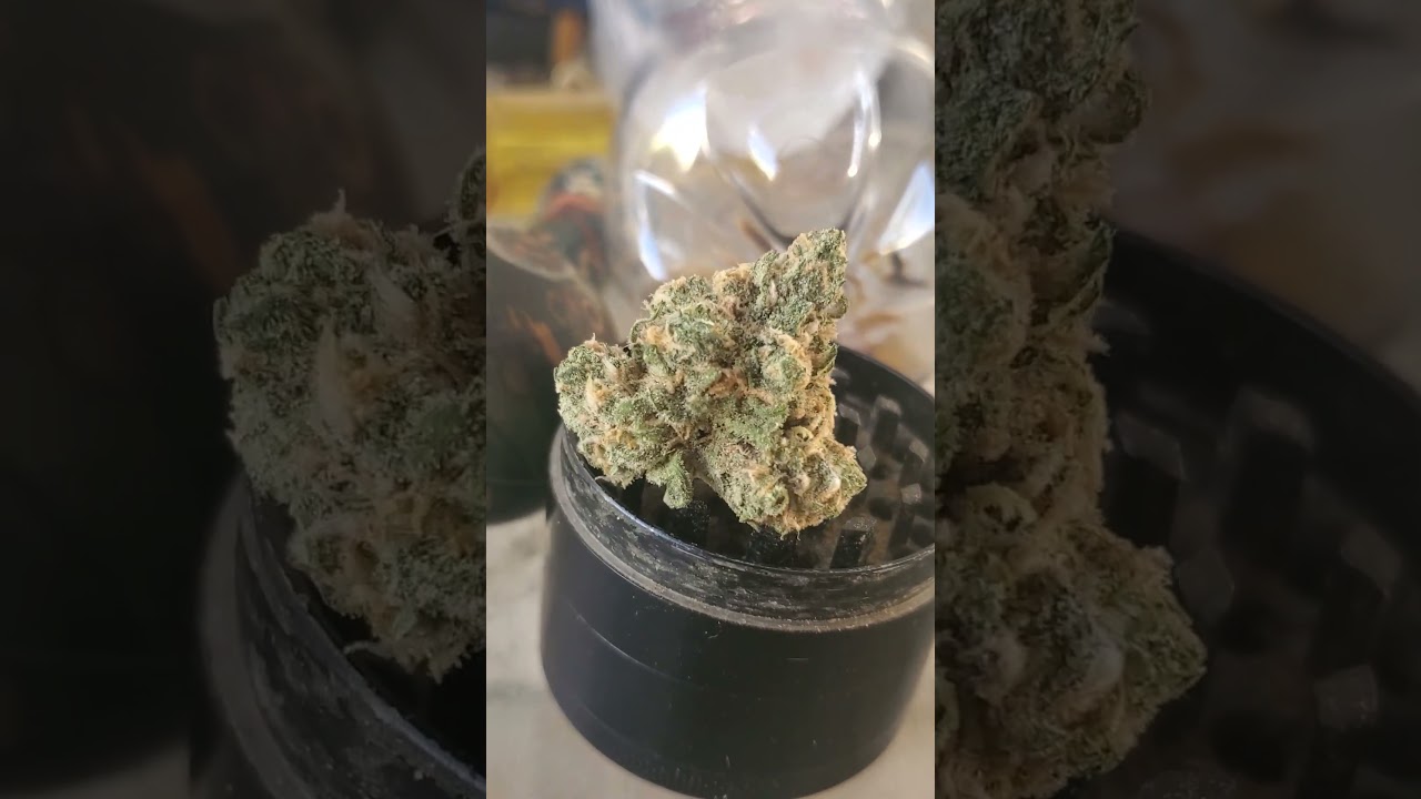 blue dream my favorite #weed #Marijuana