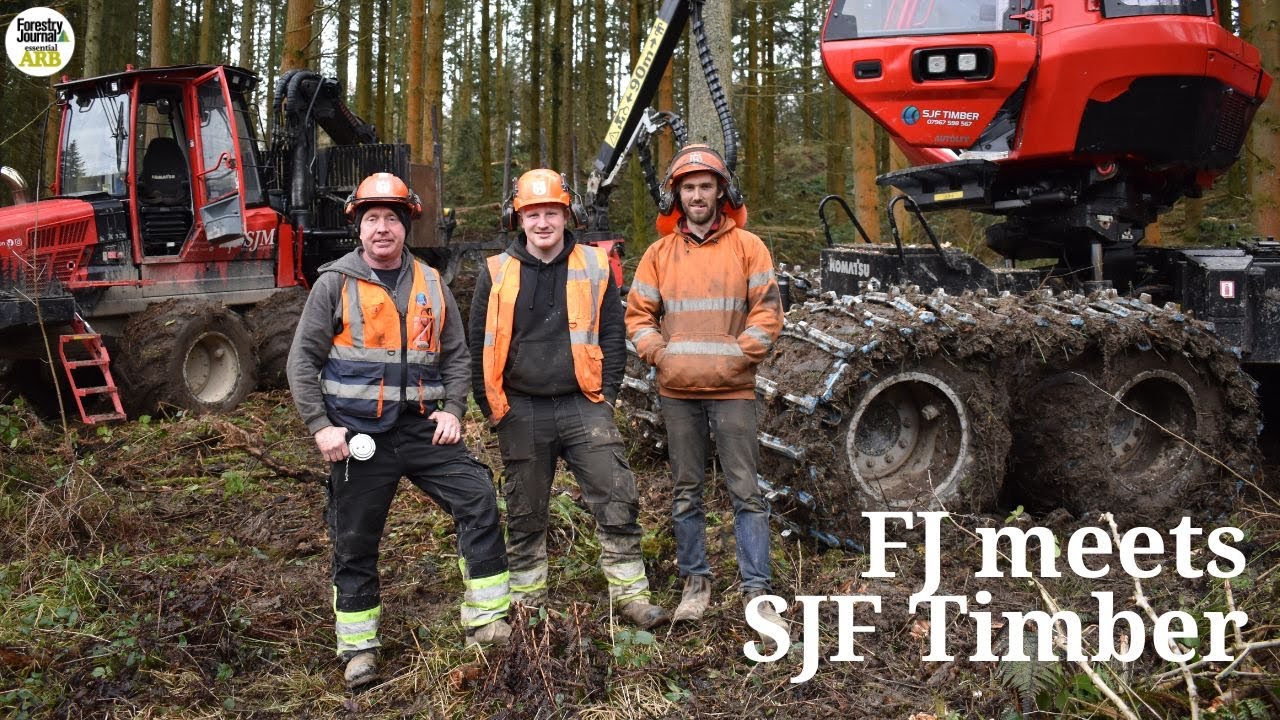 The independent forestry firm 'taking on the big boys'