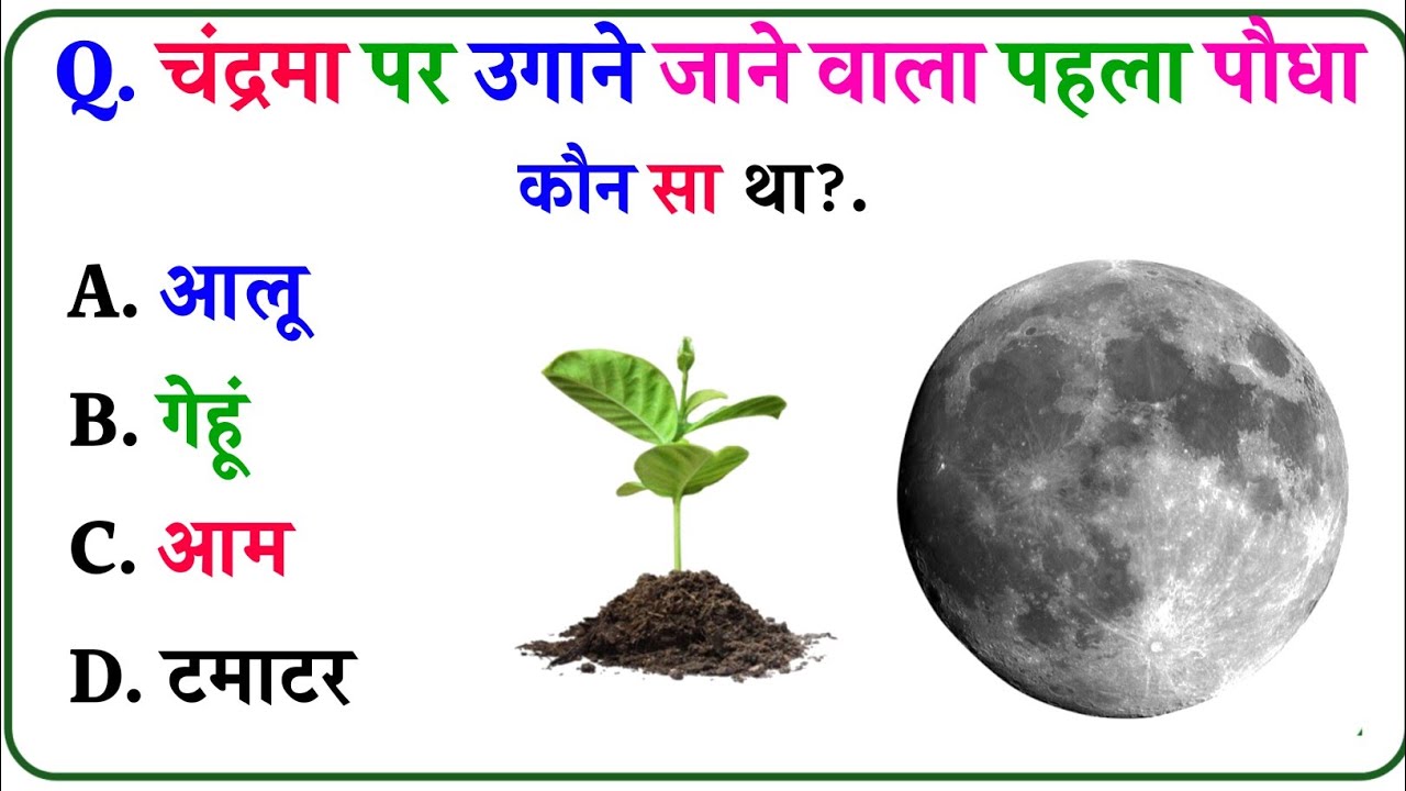 Gk Questions || Gk In Hindi || Gk ke sawal || General Knowledge || Gk Questions And Answers In Hindi