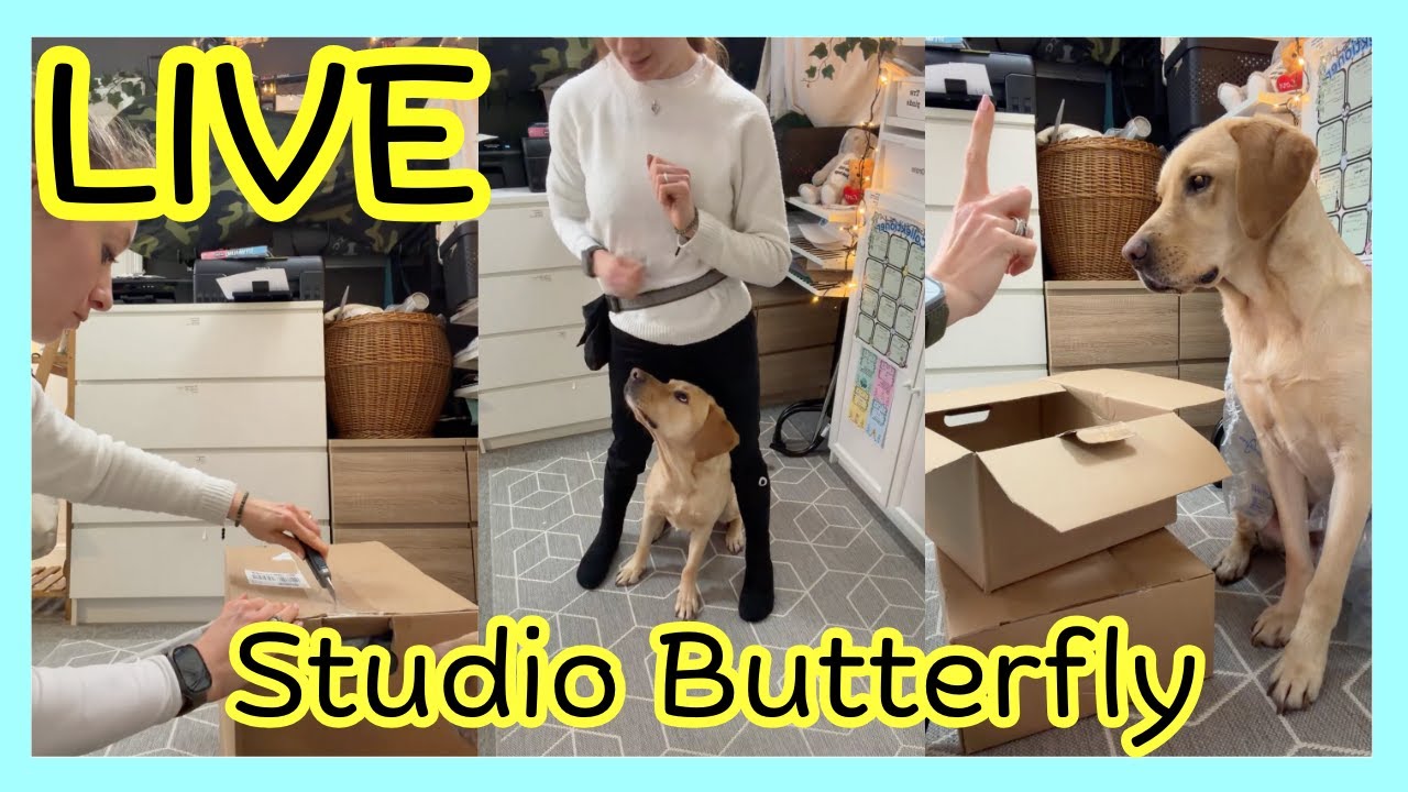 SURPRICE Live from Studio Butterfly, unboxing, having fun and will be back LIVE monday 26 januar