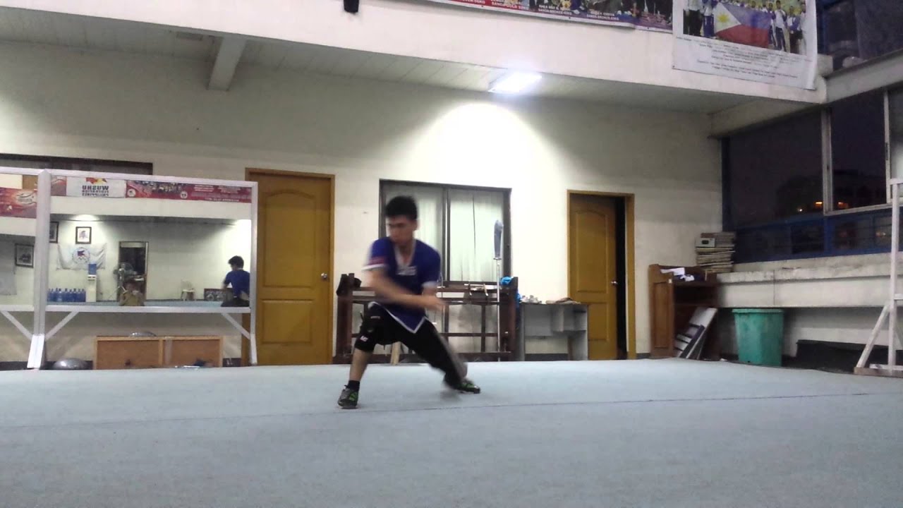 Wushu master gio demo