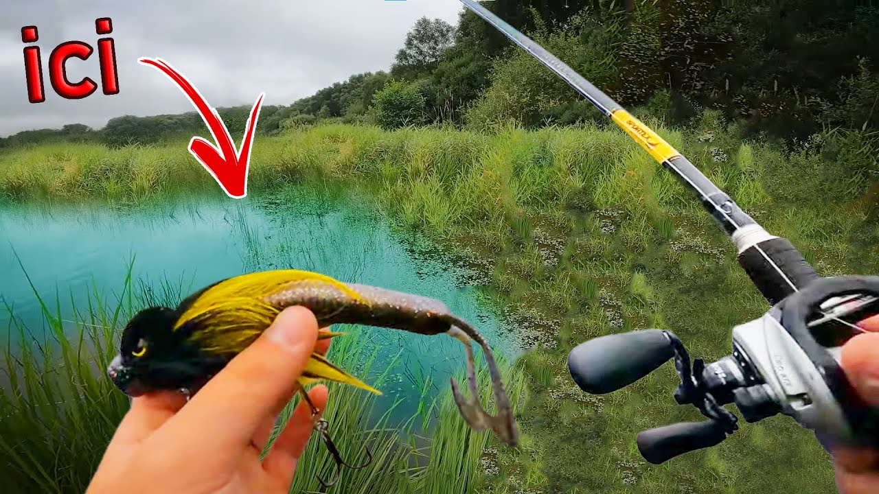 DU GROS POISSON ICI ? ( je pêche avec ce leurre étrange )