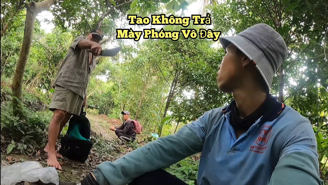 Chủ Vườn Muốn C.H.É.M Tiến Không Cho Tiến Ra Khỏi Vườn | Having difficulty hunting bees.