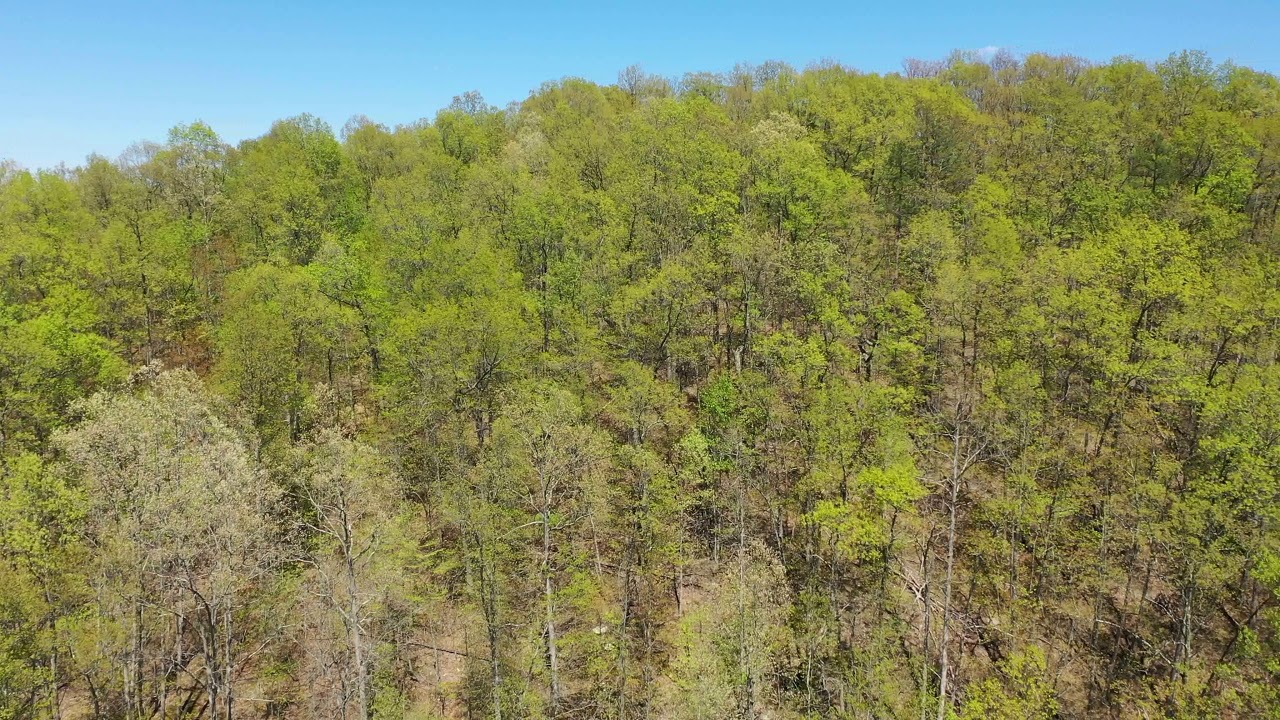 153.75+/- Acres, Three Fork, Millstone, Calhoun County, West Virginia