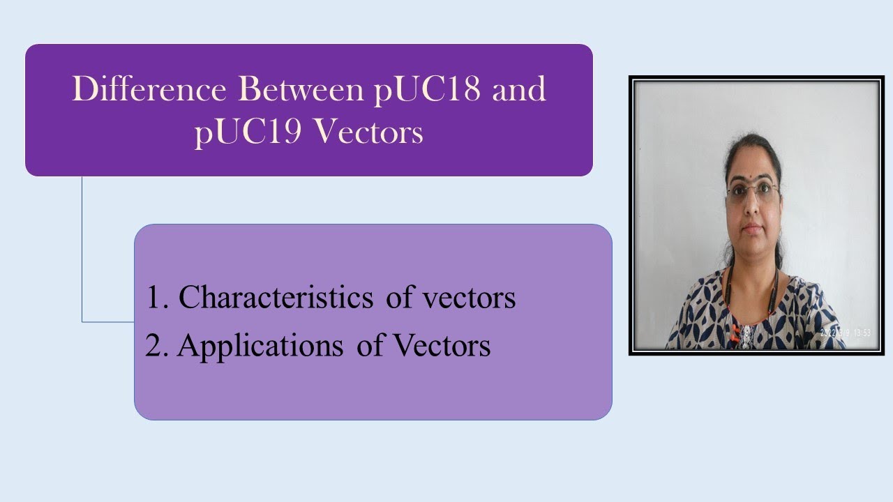 Difference between pUC18 and pUC19/Compare and Contrast:pUC18 and pUC19/high copy no. plasmid vector