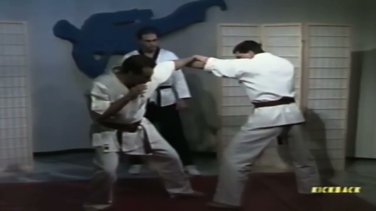 The full 1994 demo - the making of a MMA system: for speed, flexibility, strength & adaptability 