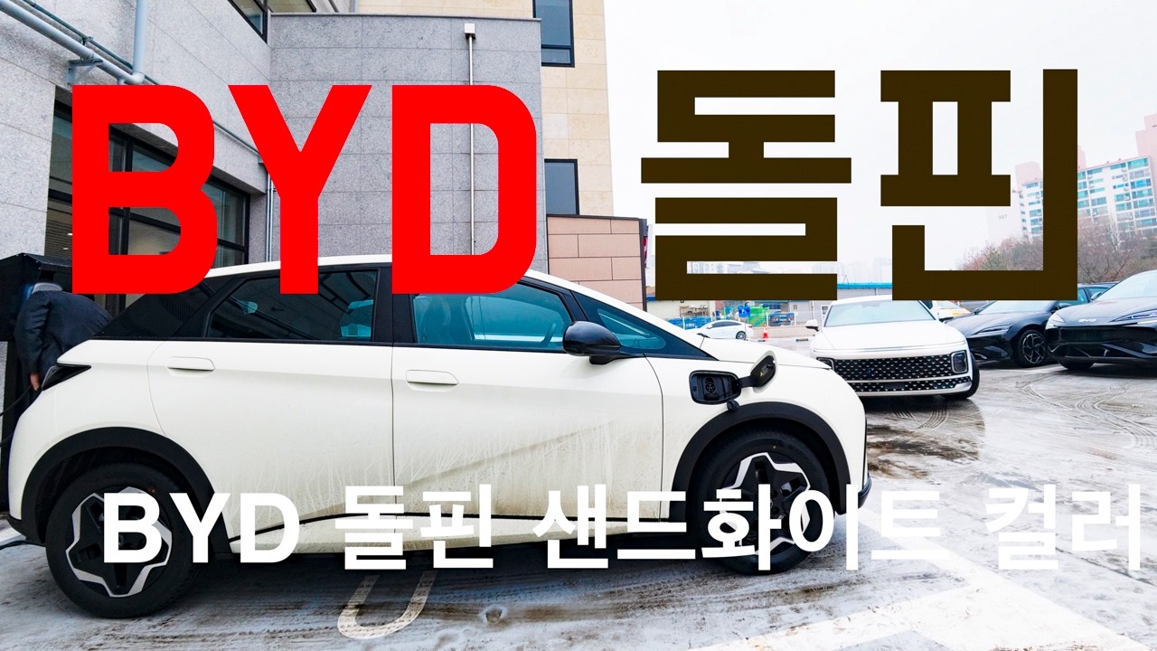 2,200만원 전기차 BYD 돌핀 실주행 리뷰 (BYD DOLPHIN)
