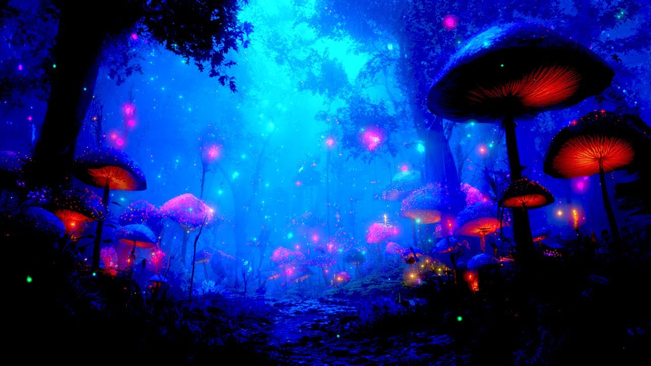 Fungal Forest || 1 Hour Ambience