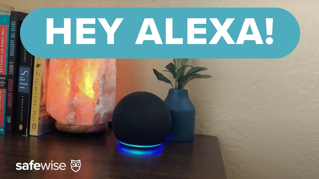 Setting Up an Echo Dot 4 & What You Should OPT OUT of