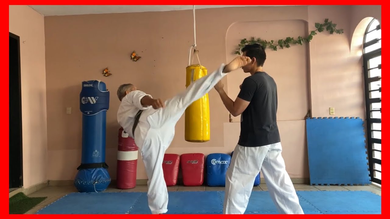TECNICAS EFECTIVAS DE COMBATE | ARTES MARCIALES