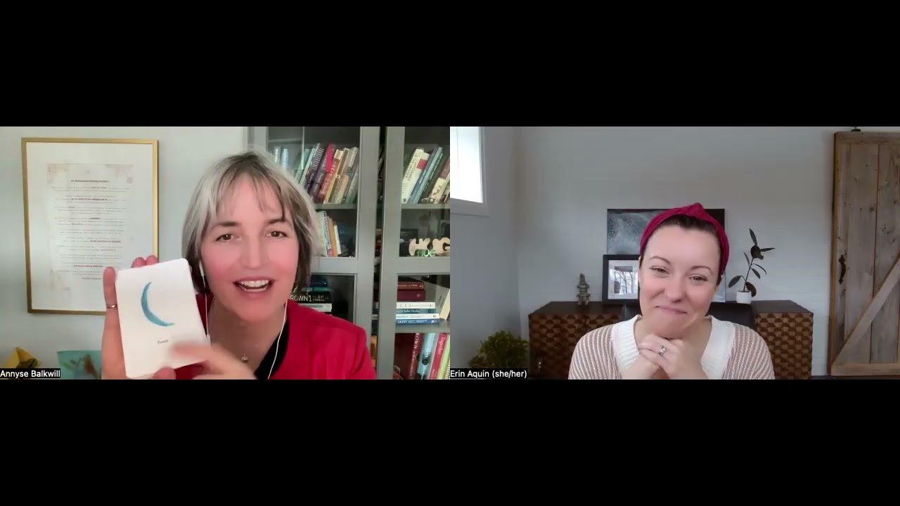 347: Leaving Corporate to Embrace Vision – Part 1 with Annyse Balkwill of LuminUS Group