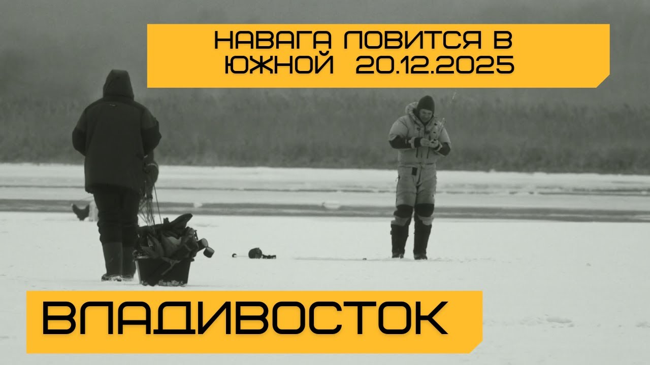 E83 Навага ловится в Южной. 20 декабря 2025.