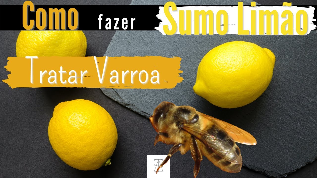 Como fazer sumo de limão para tratar a varroa -  Como Eliminar a Varroa - Detetar a Varroa- apicosta