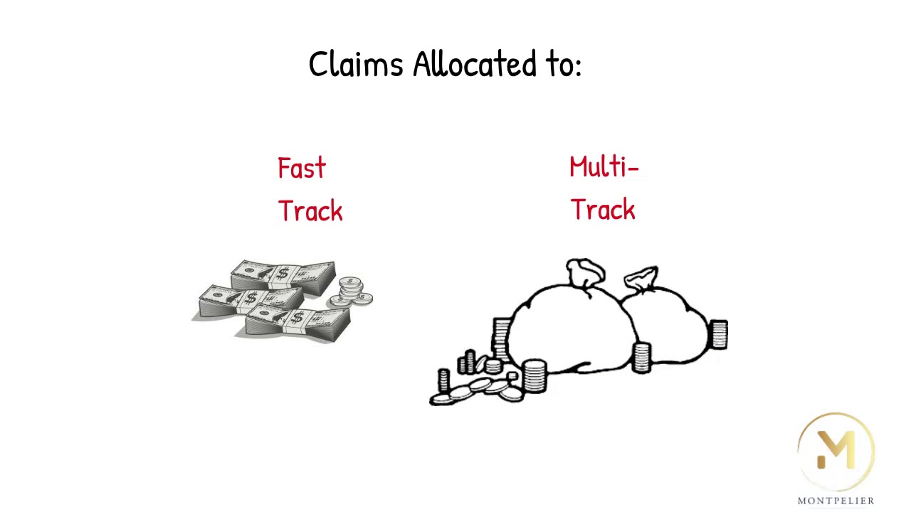 Litigation Series - Overview - Fast Track & Multi-Track Claims