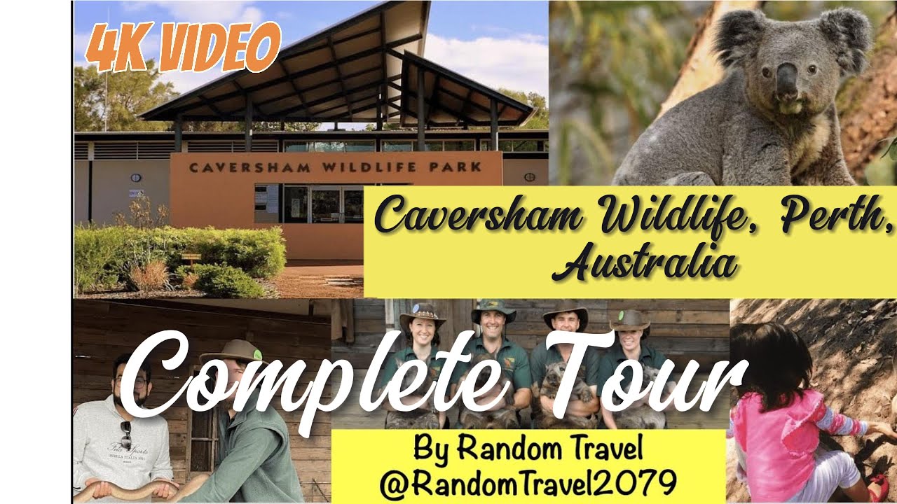 Best in Perth | A Full Tour to Caversham Wildlife Park, Perth, Australia