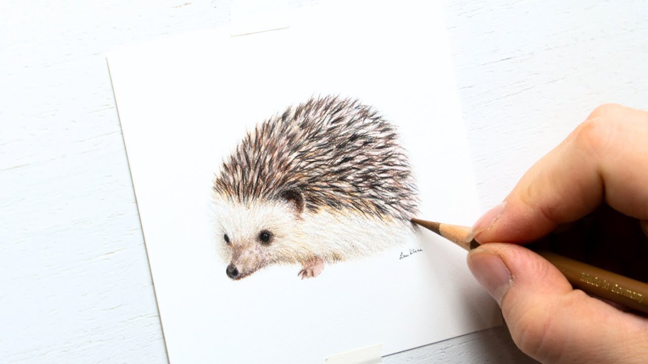3 hours of drawing a hedghehog | colored pencil timelapse