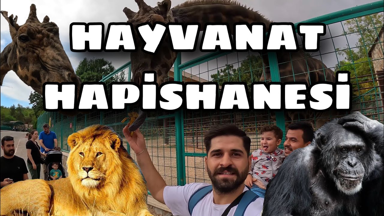 Türkiye'nin en büyük Hayvanat Bahçesi l Gaziantep Hayvanat Bahçesi ~25