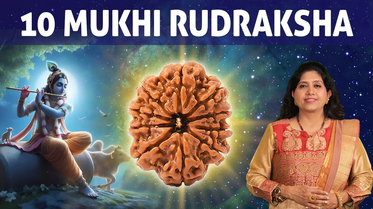 10 Mukhi Rudraksha | Most Powerful Rudraksha For Protection & Self Empowerment | Ten Mukhi Rudraksha