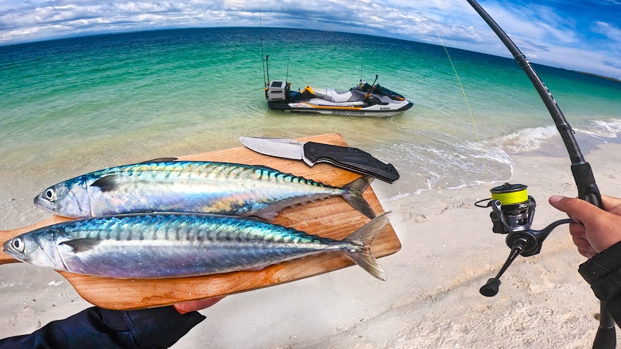 Pêcher et manger mon poisson sur une île paradisiaque isolée ! ( Catch and Cook )