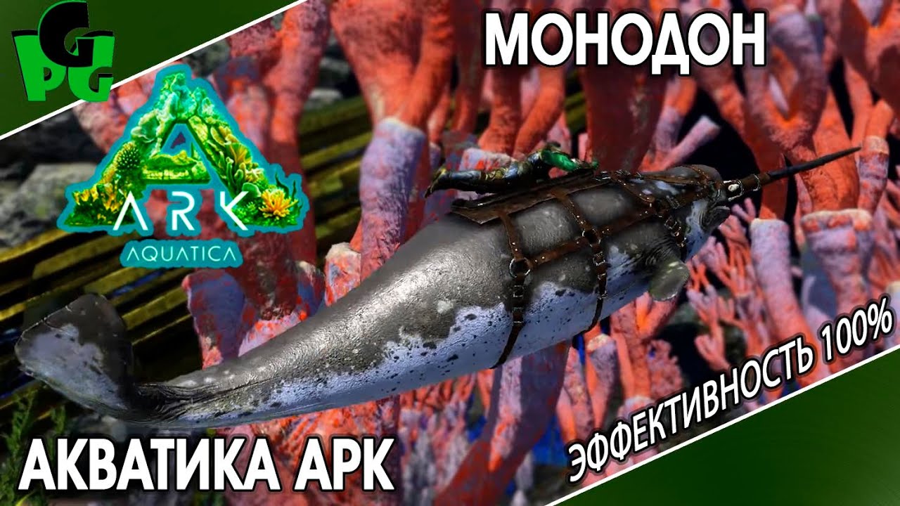 Монодон или Нарвал ИМБА? приручение способности в новом АРК Акватика