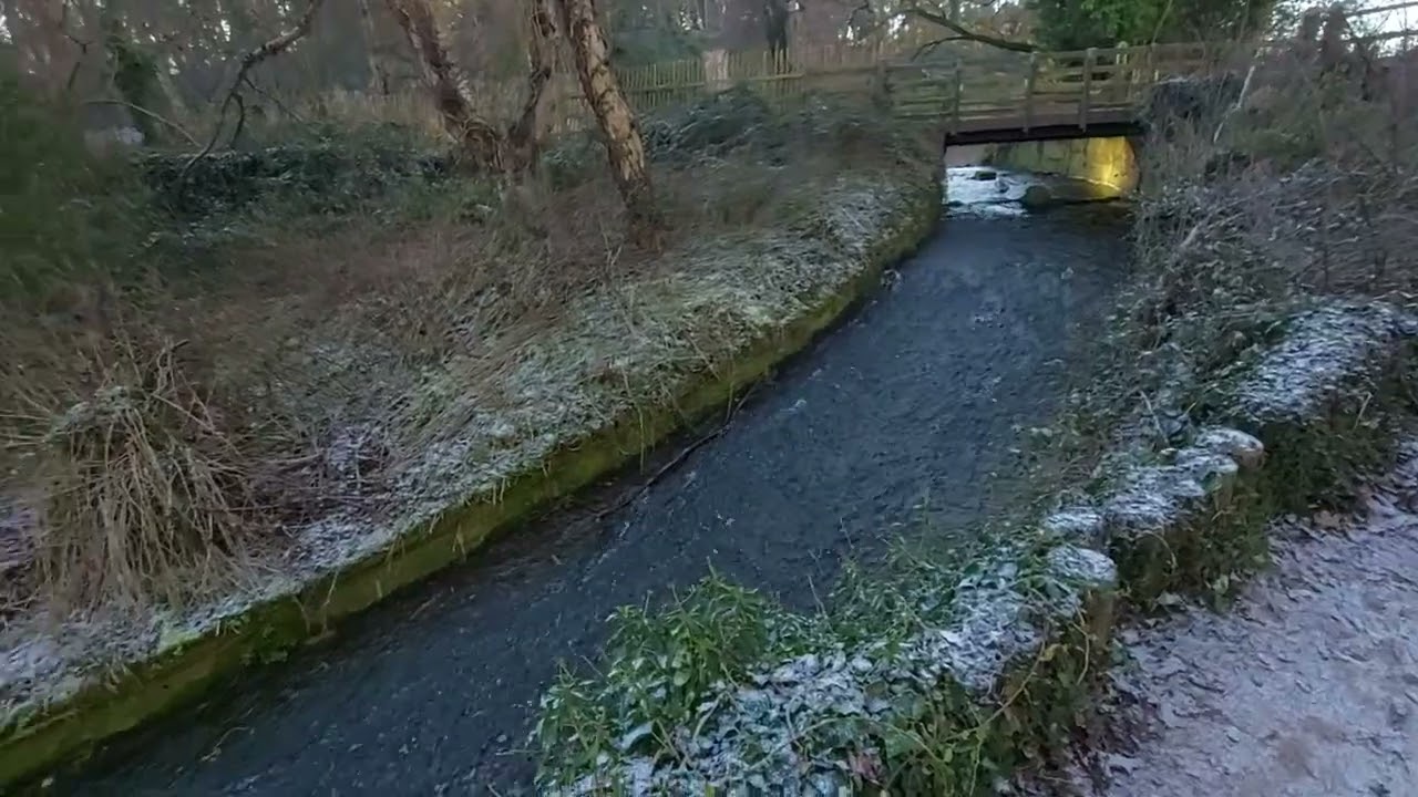Millward Brook, Creswell Crags - Derbyshire/Nottinghamshire border 20260105 115807