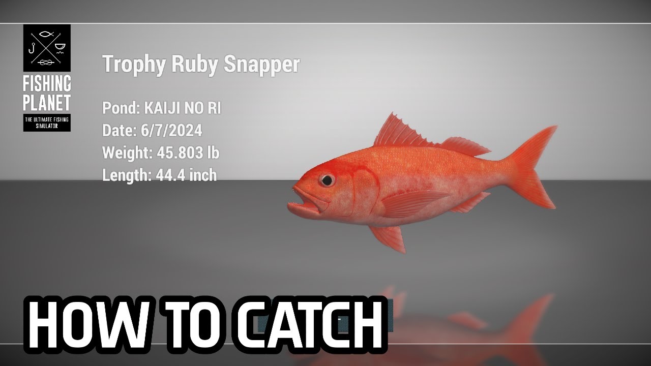 HOW TO CATCH RUBY SNAPPER - KAIJI NO RI, FISHING PLANET