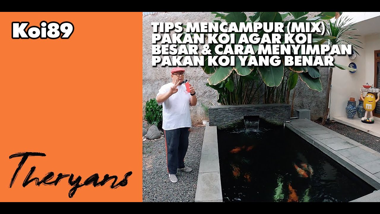 THE RYANS : Tips Mencampur (Mix) Pakan Koi Agar Koi Besar & Cara Menyimpan Pakan Koi Yang Benar