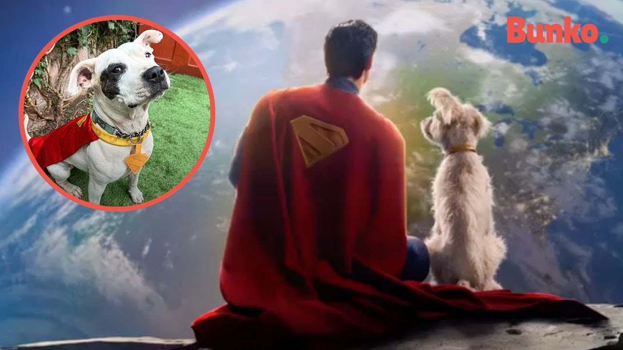 As&iacute; es como Krypto, el perro de Superman, est&aacute; impulsando la adopci&oacute;n de lomitos rescatados🦸🏻&zwj;♂️🥹🐾