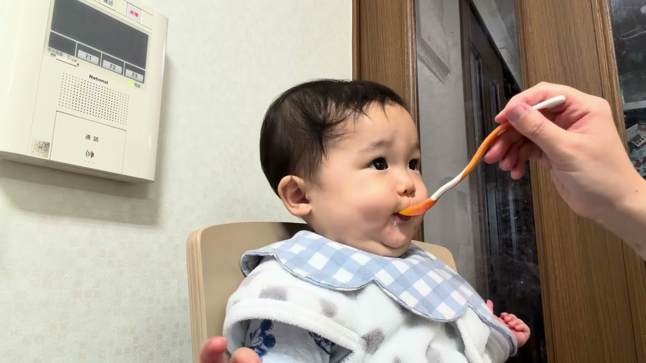 離乳食を食べる9ヶ月赤ちゃん（お粥・たらと野菜のシチュー）