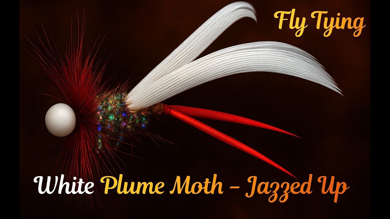 Fly Tying the White Plume Moth - All Dressed Up for Trout Fly Fishing